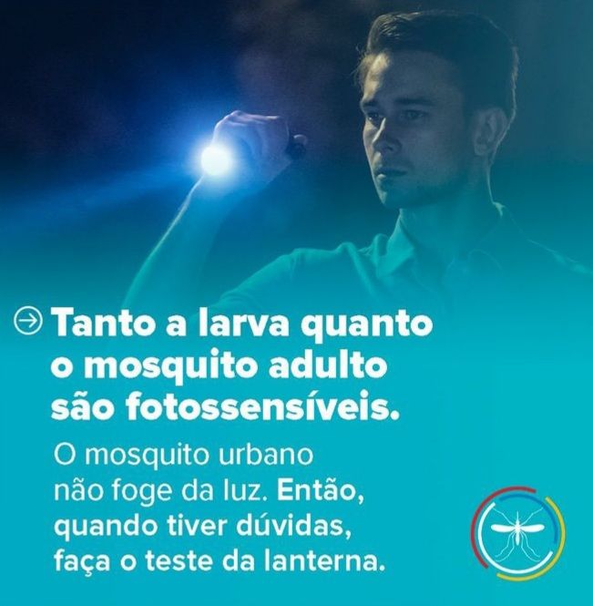 Brasil ultrapassa marca de 5 mil mortes por dengue — imagem 4